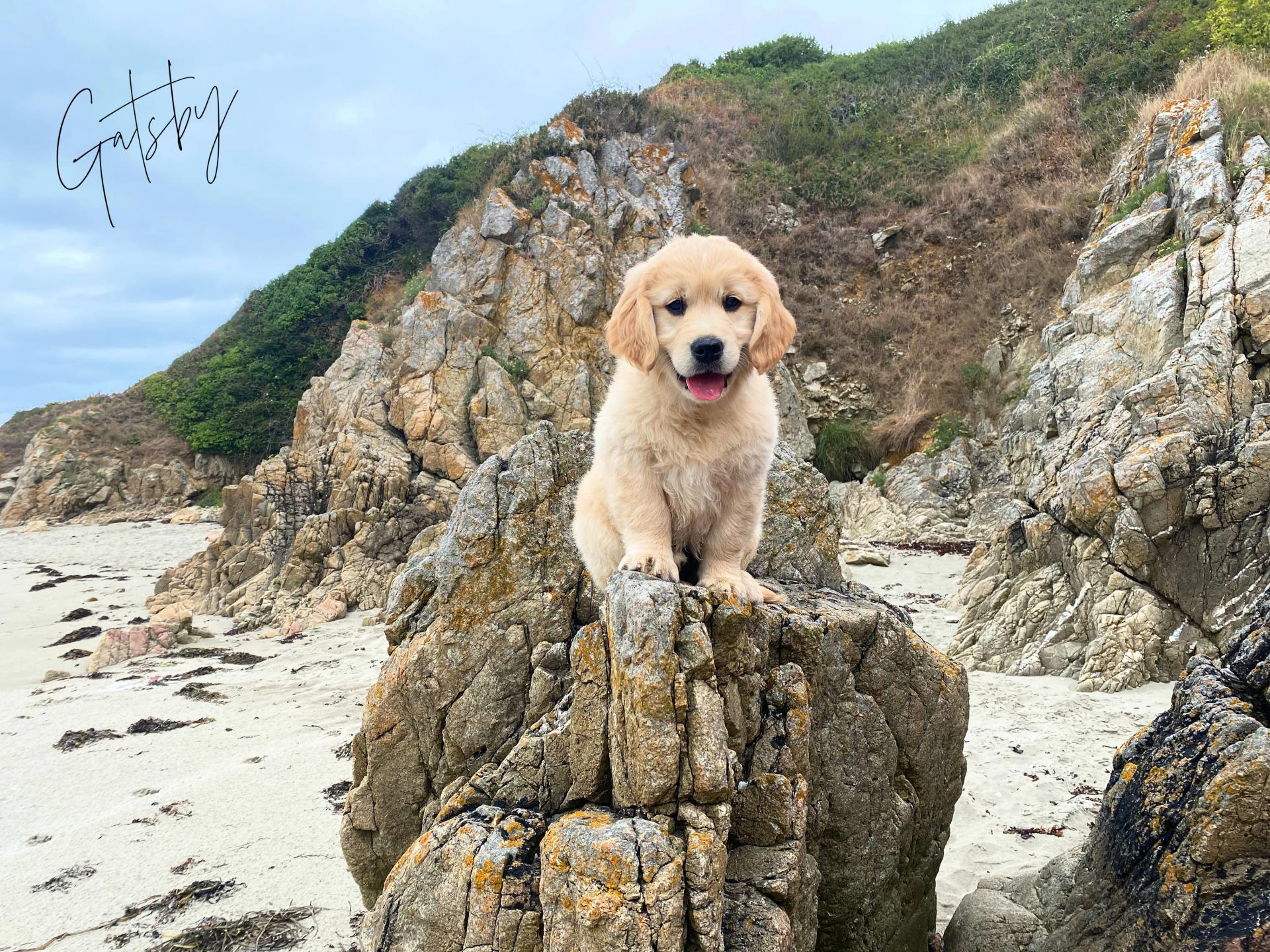 Charly plage 10 heic