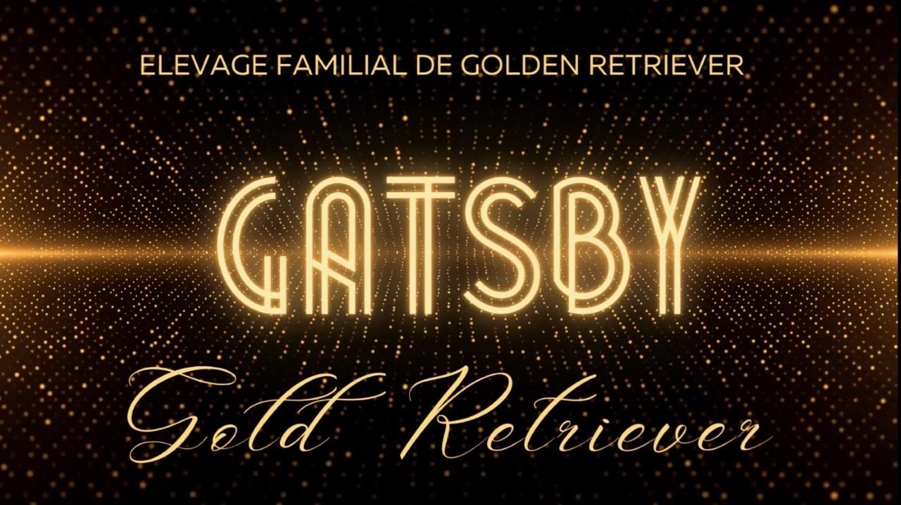 Gatsby aff