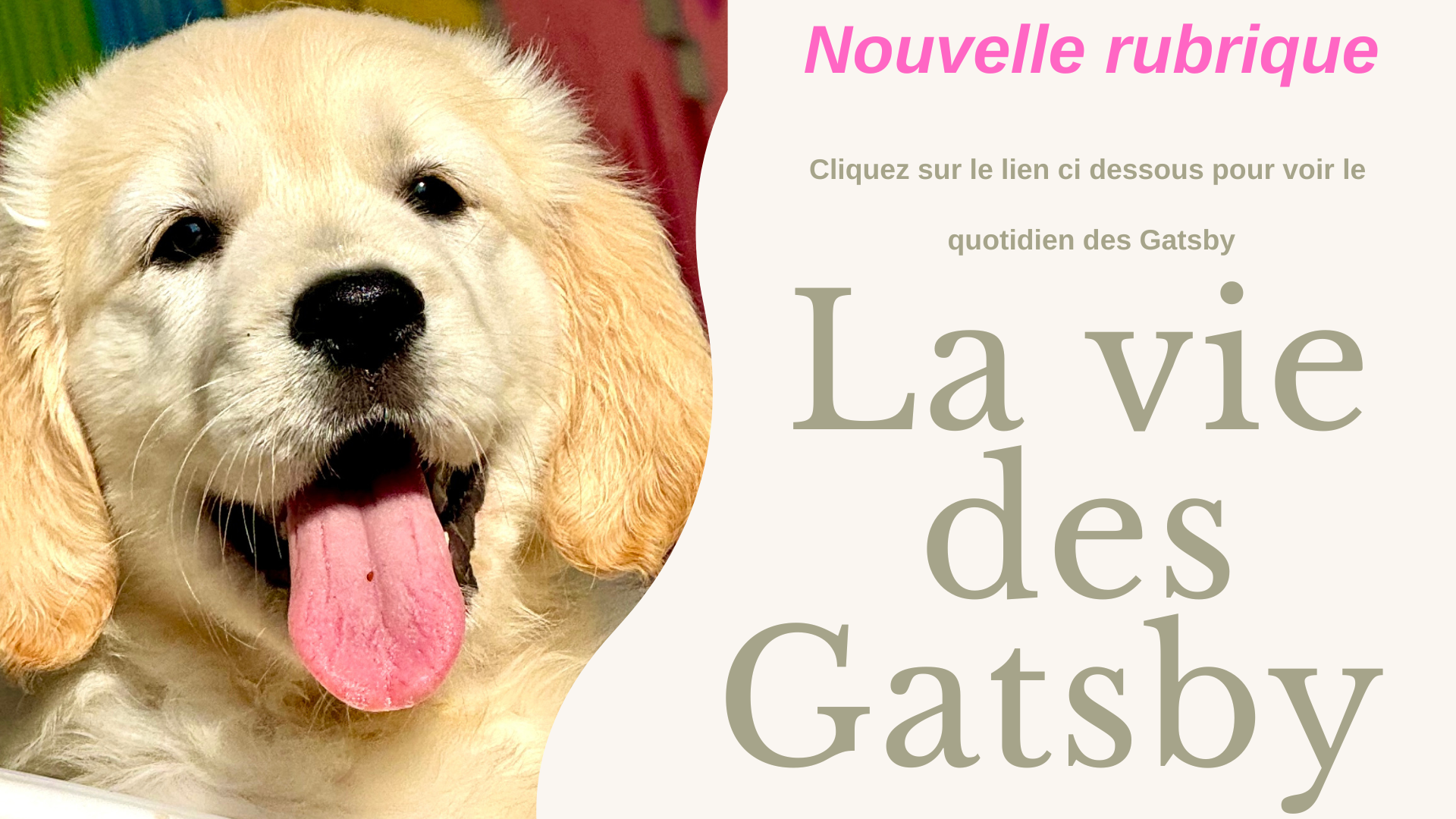 La vie des gatsby 3