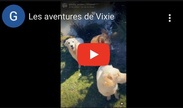 Vixie